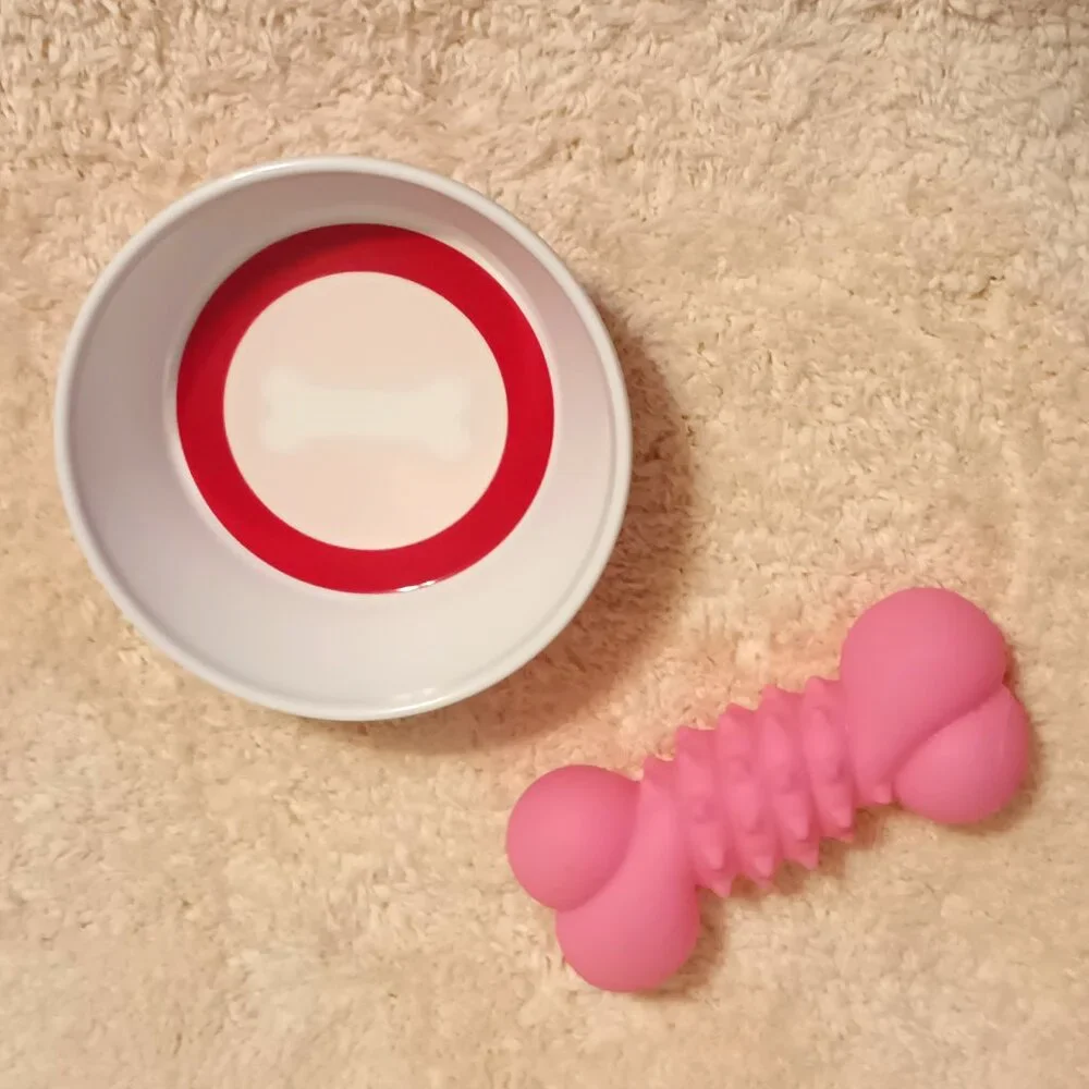 VGUC ~ Martha Stewart Pets Non-Slip Dog Food Bowl + Rubber Squeaky Bone Dog Toy